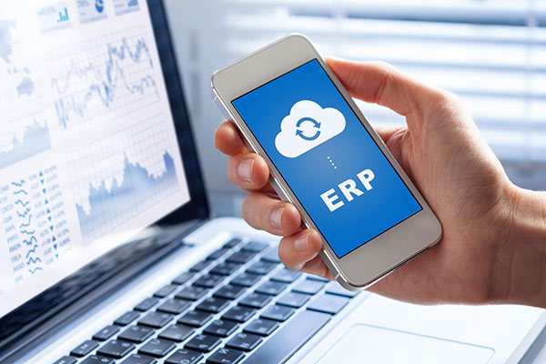 Cloud ERP