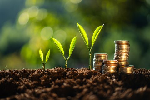 Appficiency Secures Strategic Growth Investment to Accelerate AI-Led Enterprise Transformation