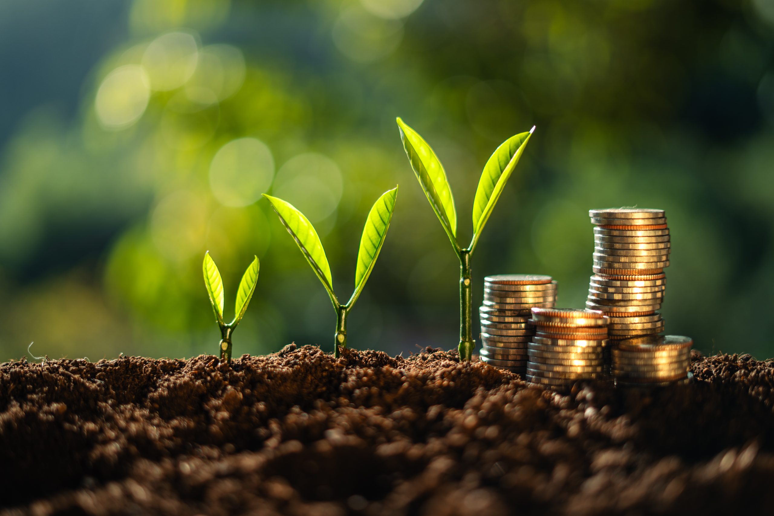 Appficiency Secures Strategic Growth Investment to Accelerate AI-Led Enterprise Transformation